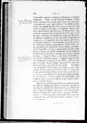 Fotogramma D 11