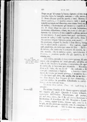 Fotogramma D 11