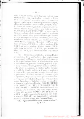 Fotogramma A 11