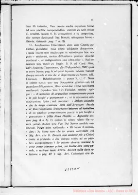 Fotogramma B 11