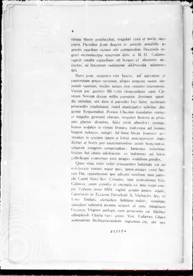 Fotogramma E 6