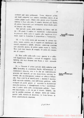 Fotogramma A 11