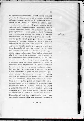 Fotogramma D 8