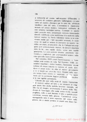 Fotogramma D 11
