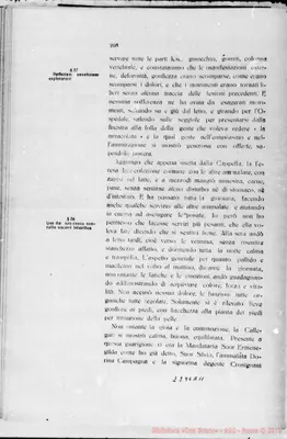 Fotogramma A 11