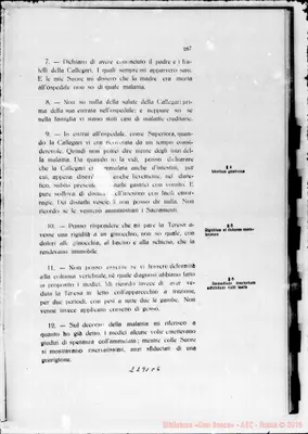 Fotogramma C 6