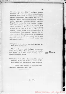 Fotogramma D 6