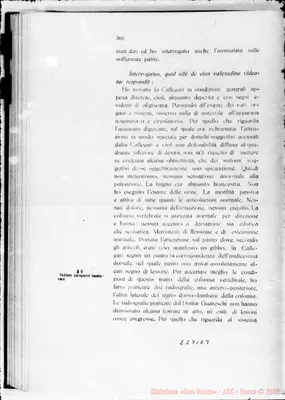 Fotogramma D 9