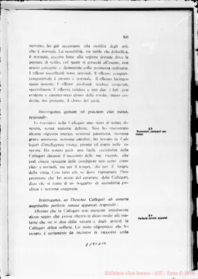 Fotogramma D 10