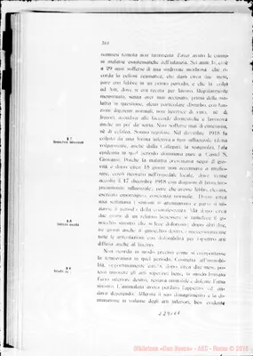 Fotogramma E 7