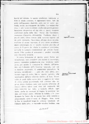 Fotogramma E 8