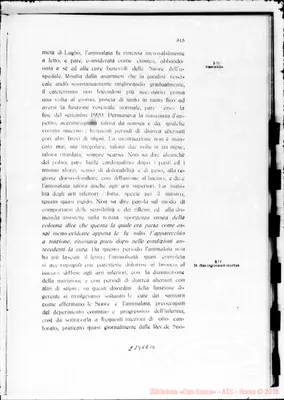 Fotogramma E 10