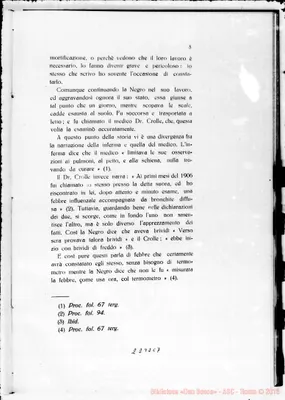 Fotogramma C 7
