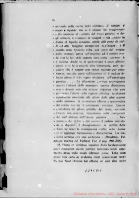 Fotogramma B 2
