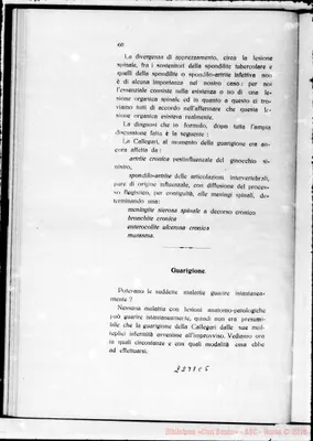 Fotogramma C 5