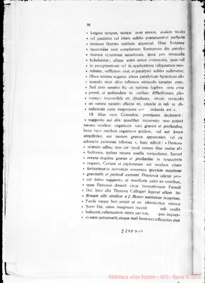 Fotogramma D 11