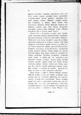 Fotogramma C 7