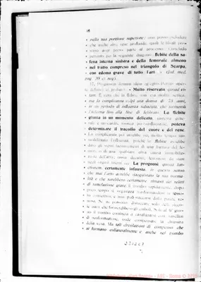 Fotogramma C 7