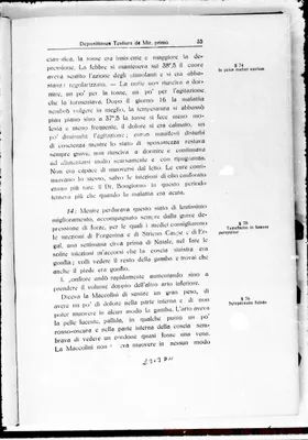 Fotogramma D 11