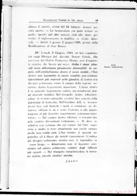 Fotogramma D 11