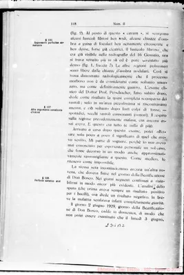 Fotogramma B 2