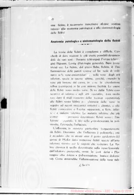 Fotogramma E 4