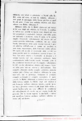 Fotogramma E 7