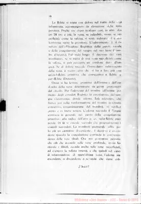 Fotogramma E 8