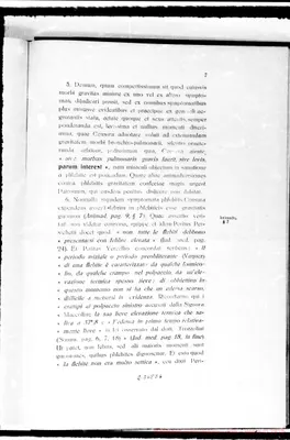 Fotogramma E 6