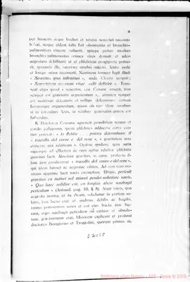 Fotogramma E 8