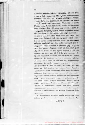 Fotogramma C 5