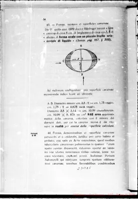 Fotogramma D 5