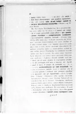 Fotogramma E 7