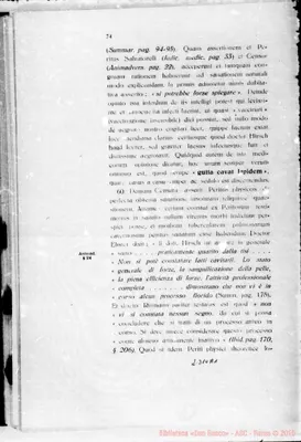 Fotogramma A 1