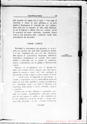Fotogramma E 7