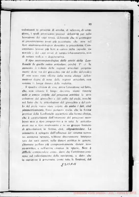 Fotogramma A 11