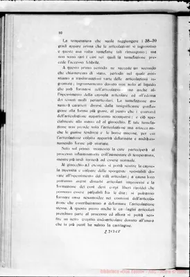 Fotogramma C 8