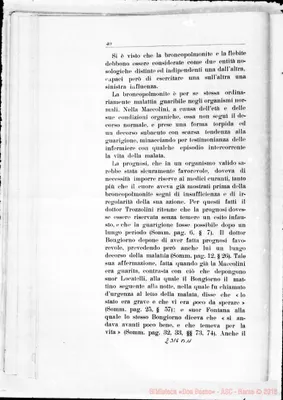 Fotogramma B 11