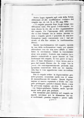 Fotogramma C 5
