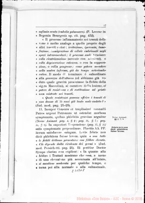 Fotogramma D 8
