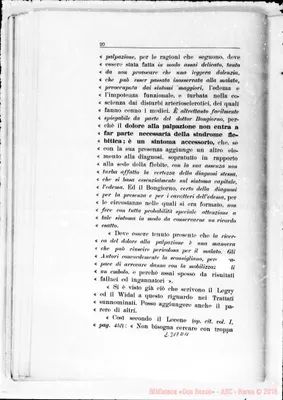 Fotogramma D 11
