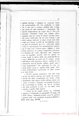 Fotogramma E 6