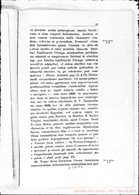 Fotogramma B 9