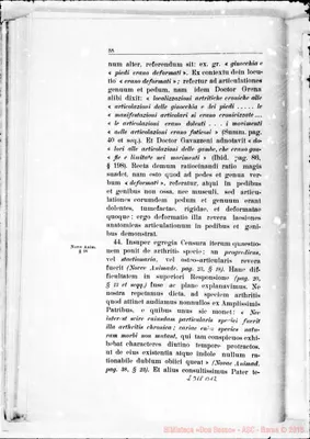 Fotogramma B 12