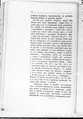 Fotogramma C 6