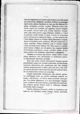 Fotogramma C 8