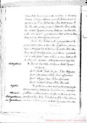 Fotogramma D 11