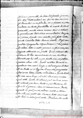 Fotogramma C 11