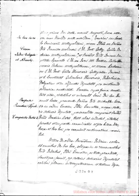 Fotogramma D 9