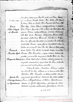 Fotogramma C 11